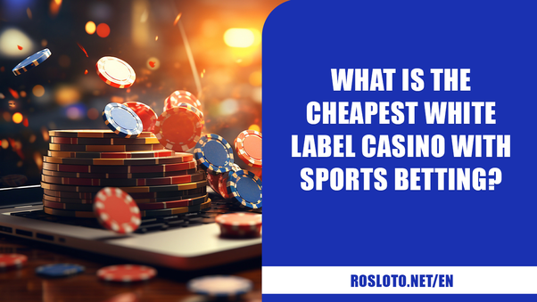 Understanding the Costs of Setting Up a White Label Casino for B2B Operators