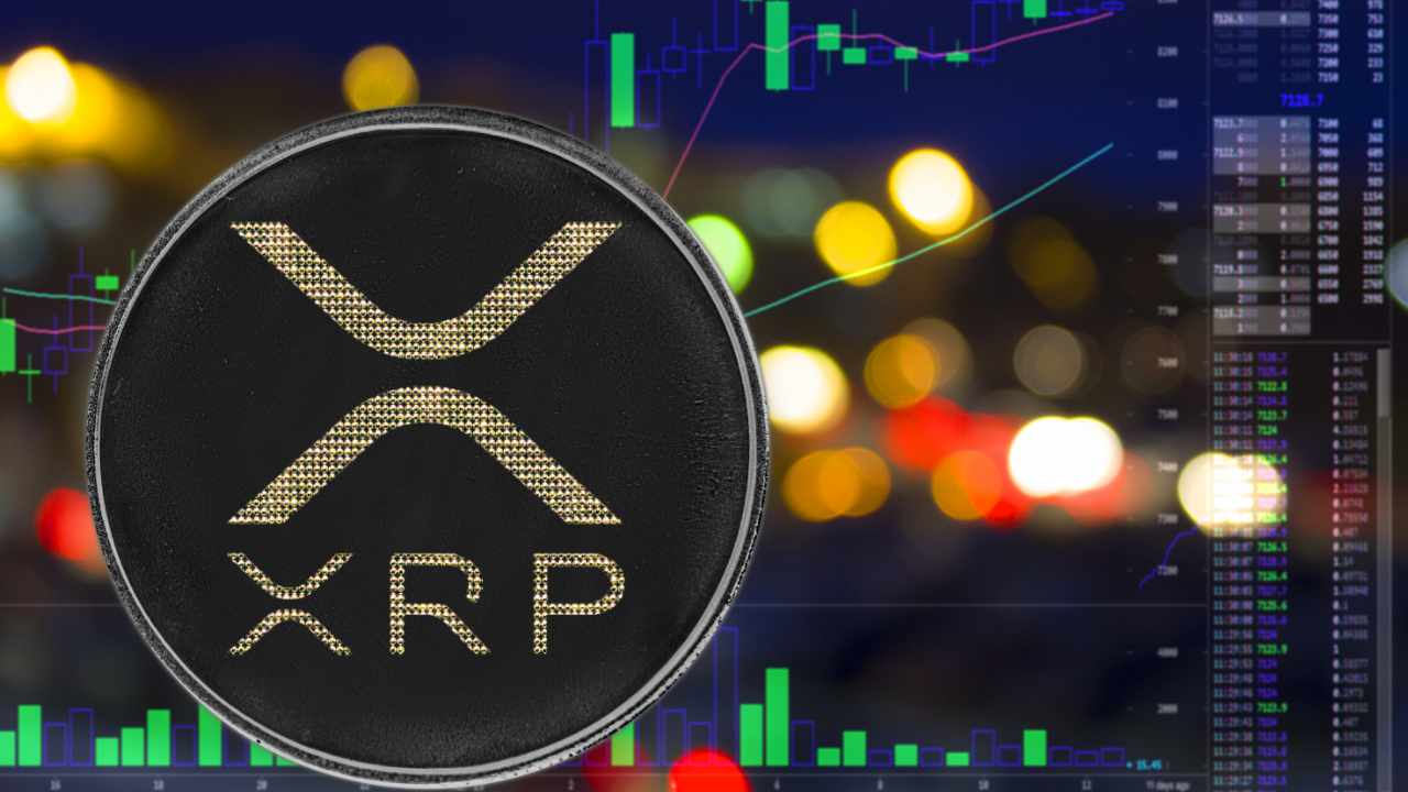 XRP Rewards Ideas for XRPL Blockchain Participants Indicated by Dev