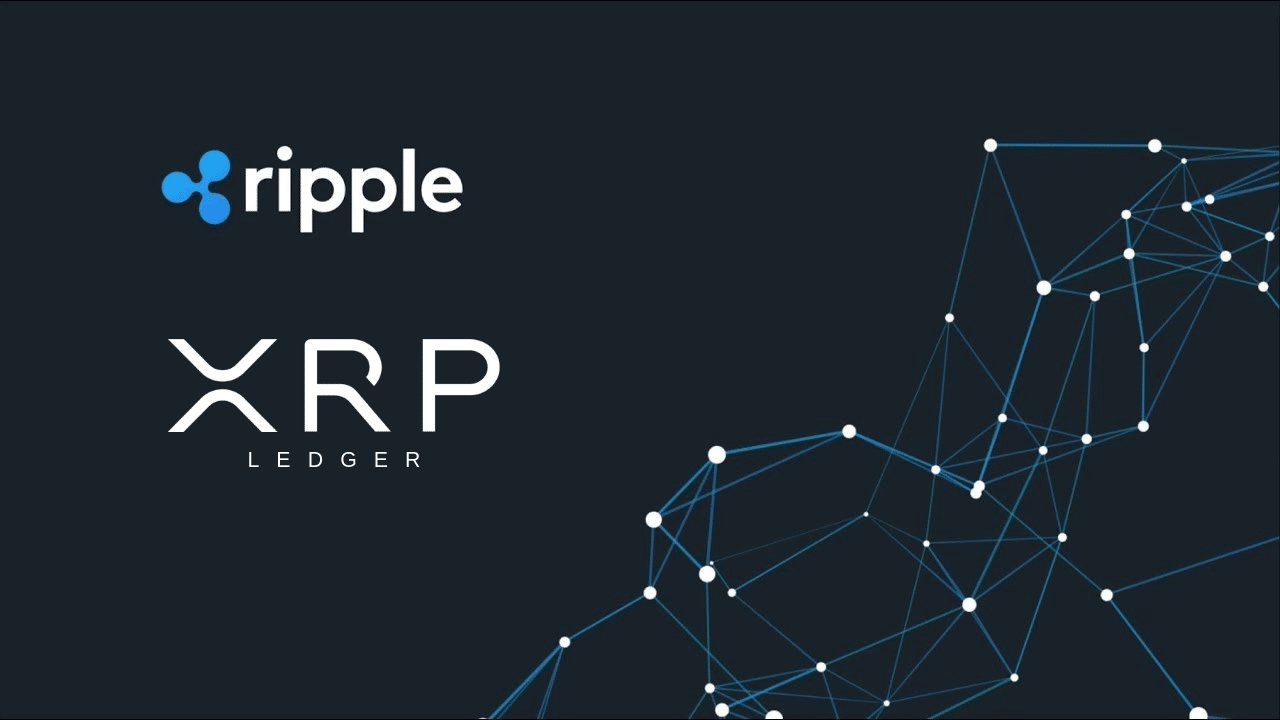 XRP Ledger Foundation (Official) · GitHub