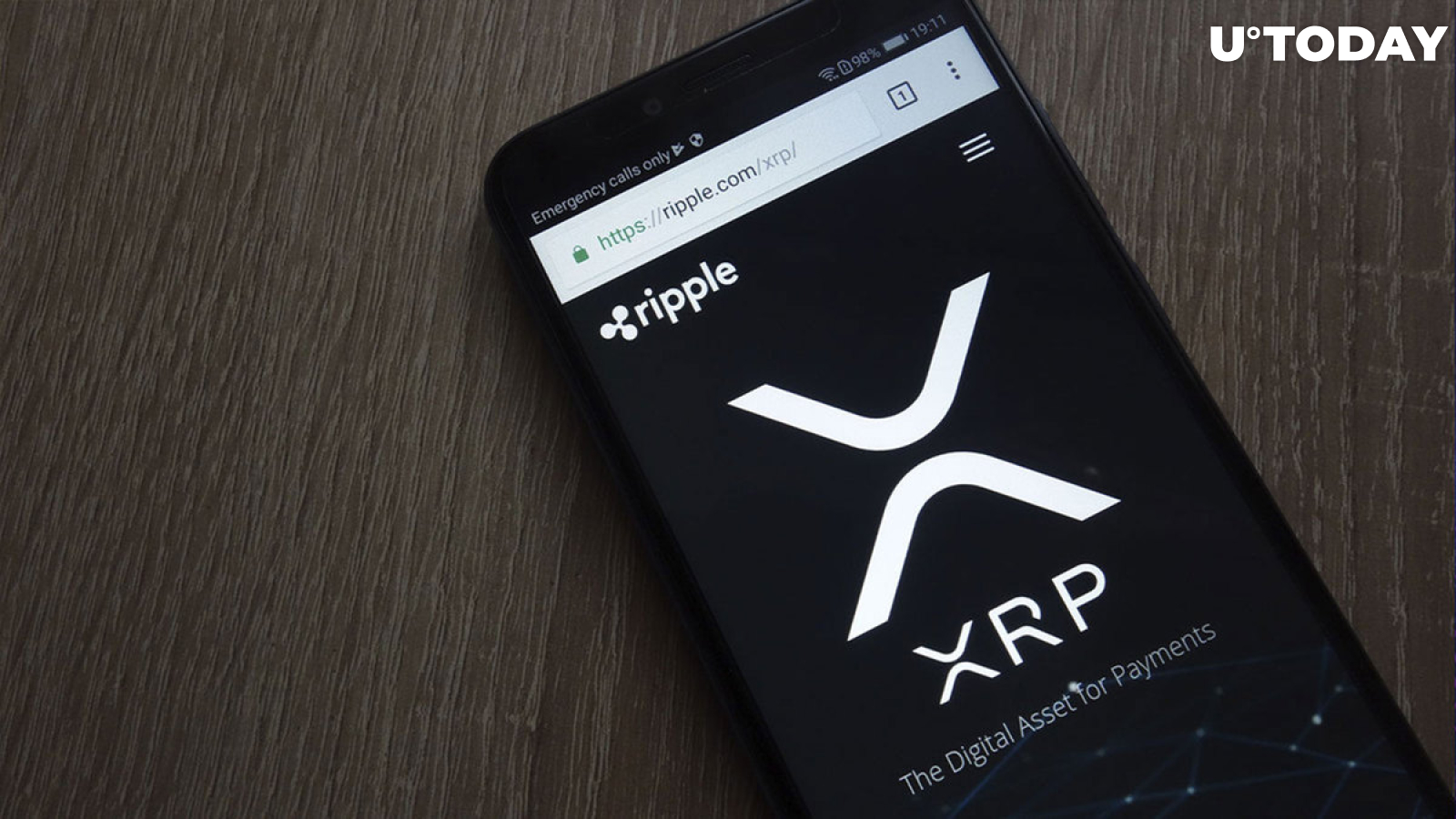 XRP Rich List: Who Are the Top XRP Holders in ? - CoinCheckup